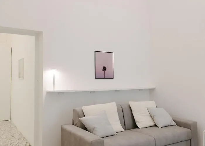 Zeno Casa Damare Daire